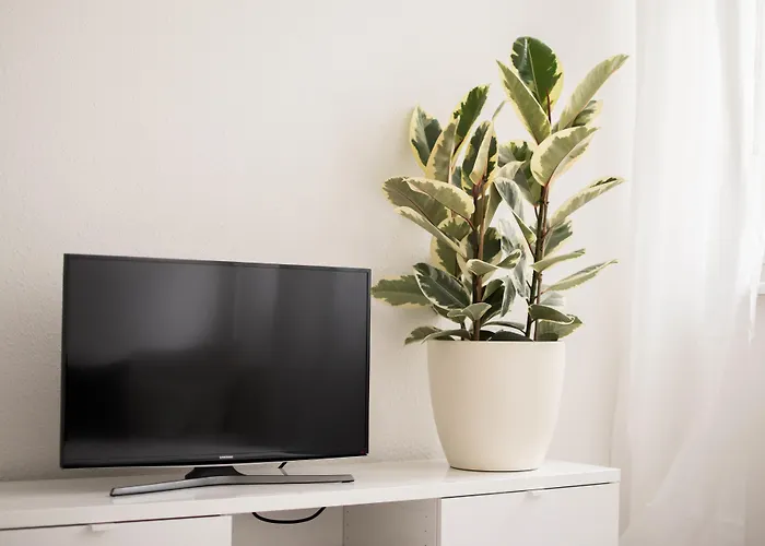 Altstadt * Weimar (Thüringen)